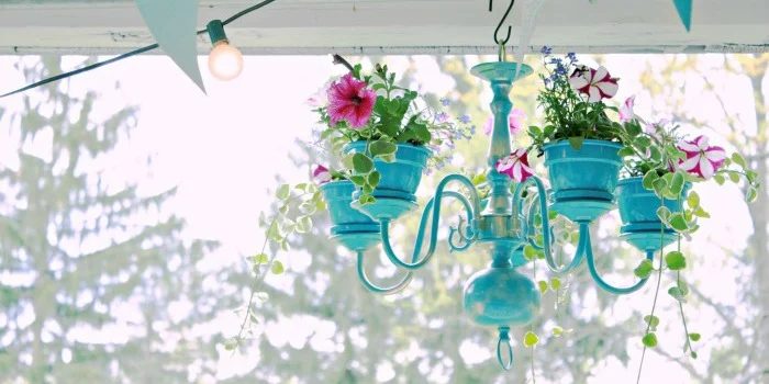 10 Creative Container Garden options