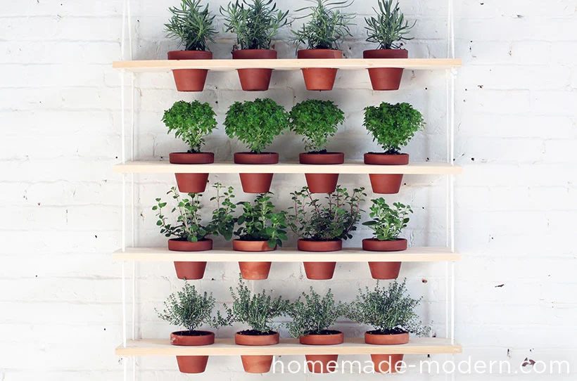 creative container garden options