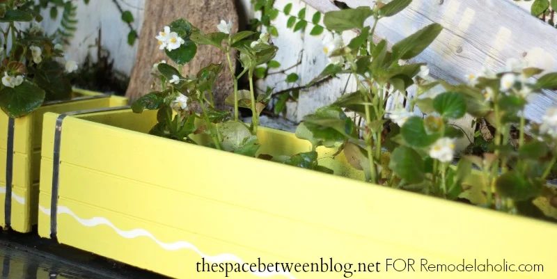 creative container garden options