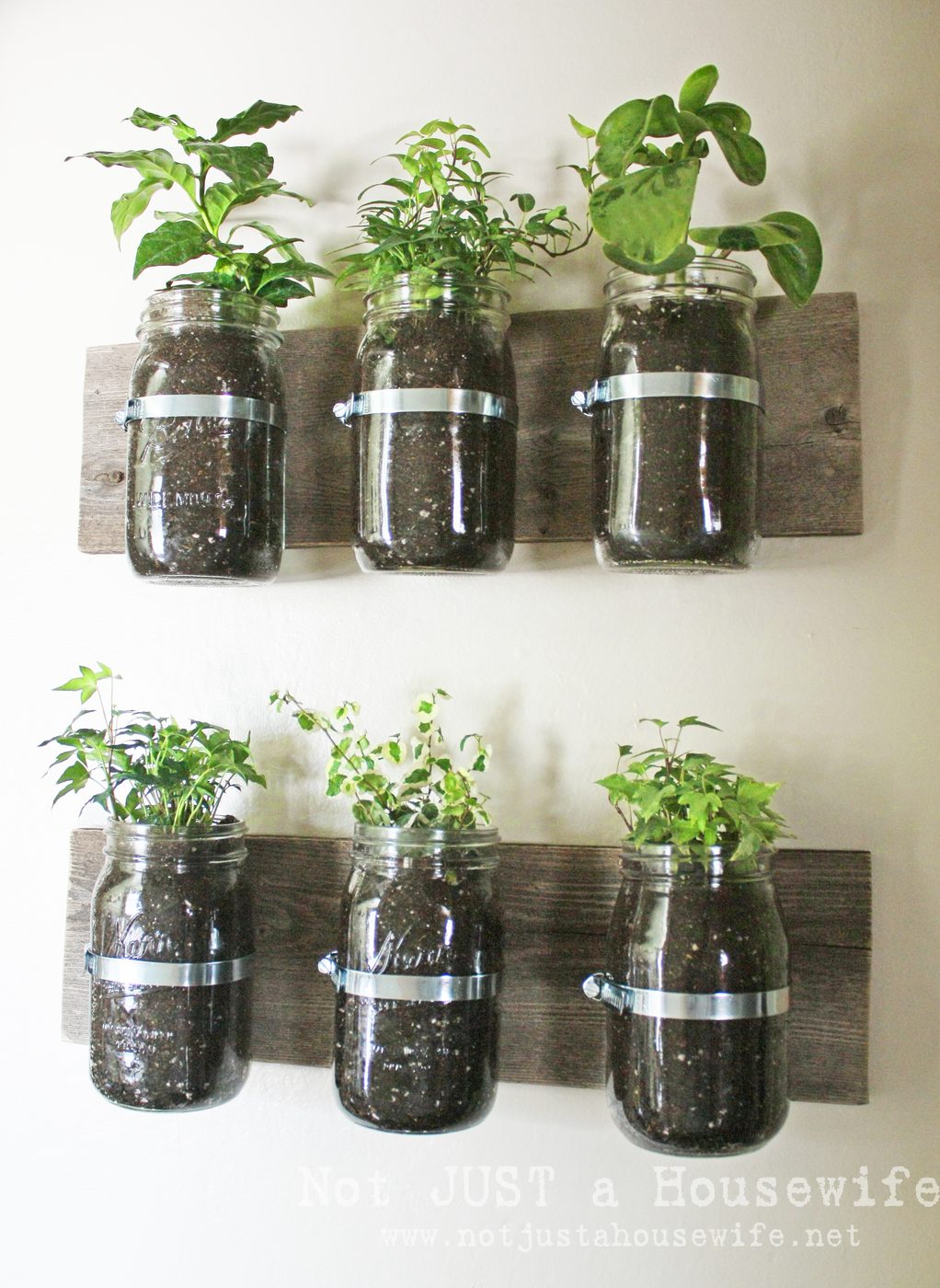 creative container garden options