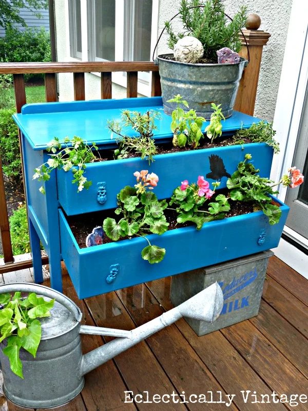 creative container garden options