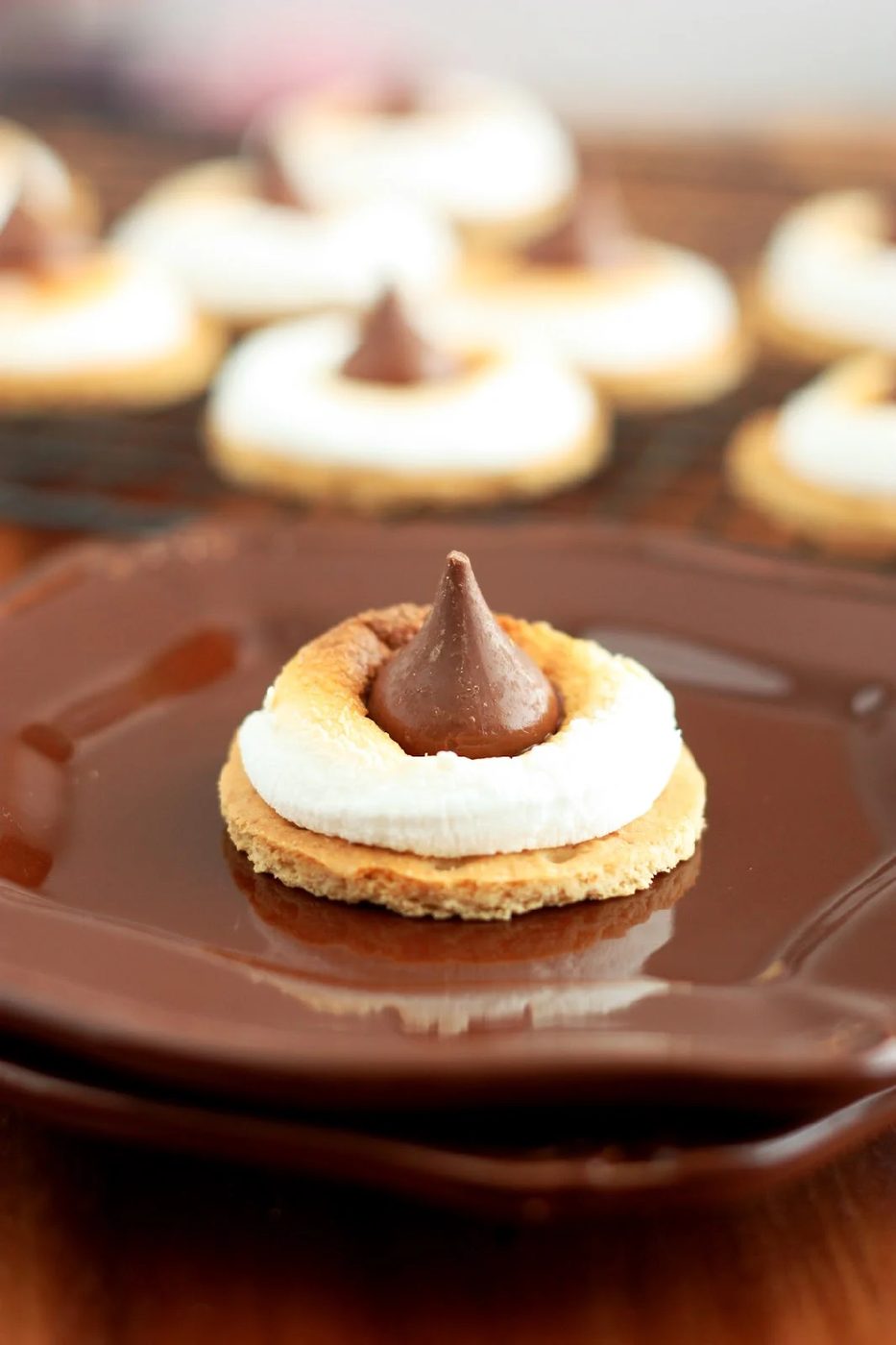 You don't have to go camping to enjoy the delicious flavor of s'mores. Get cooking with these 10 delicious s'mores inspired desserts! 10 Delicious S'mores Inspired Desserts via @ti