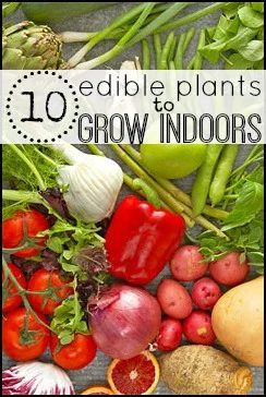 edible plants