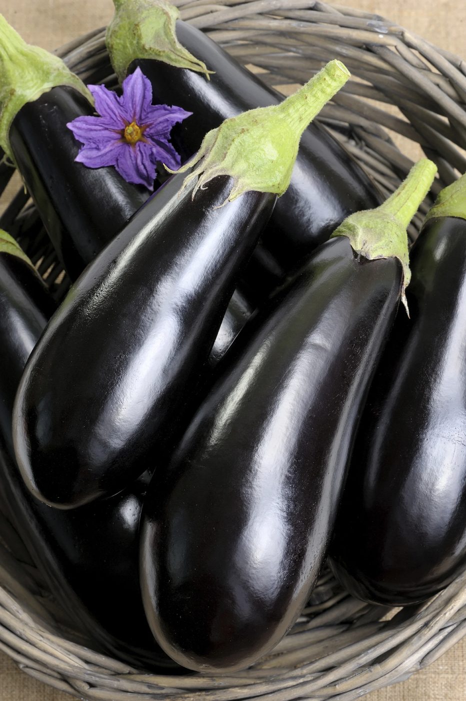 10 Eggplant Recipes Everyone Will Love