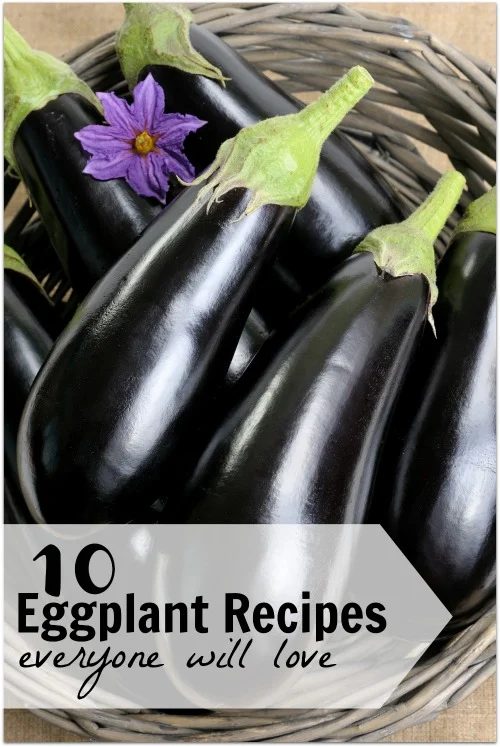 Looking for new ways to cook eggplant that will please everyone at your dinner table? Here are 10 yummy eggplant recipes for you to try via @tipsaholic #eggplant #recipes #health #