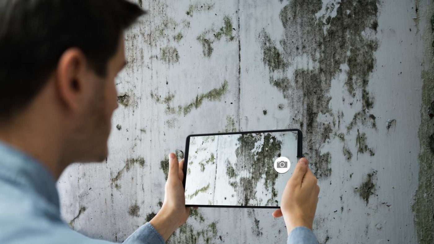 Taking Photo Of Home Wall Mold Damage Using Tablet
