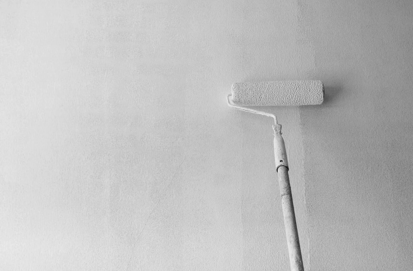 Paint Roller Long