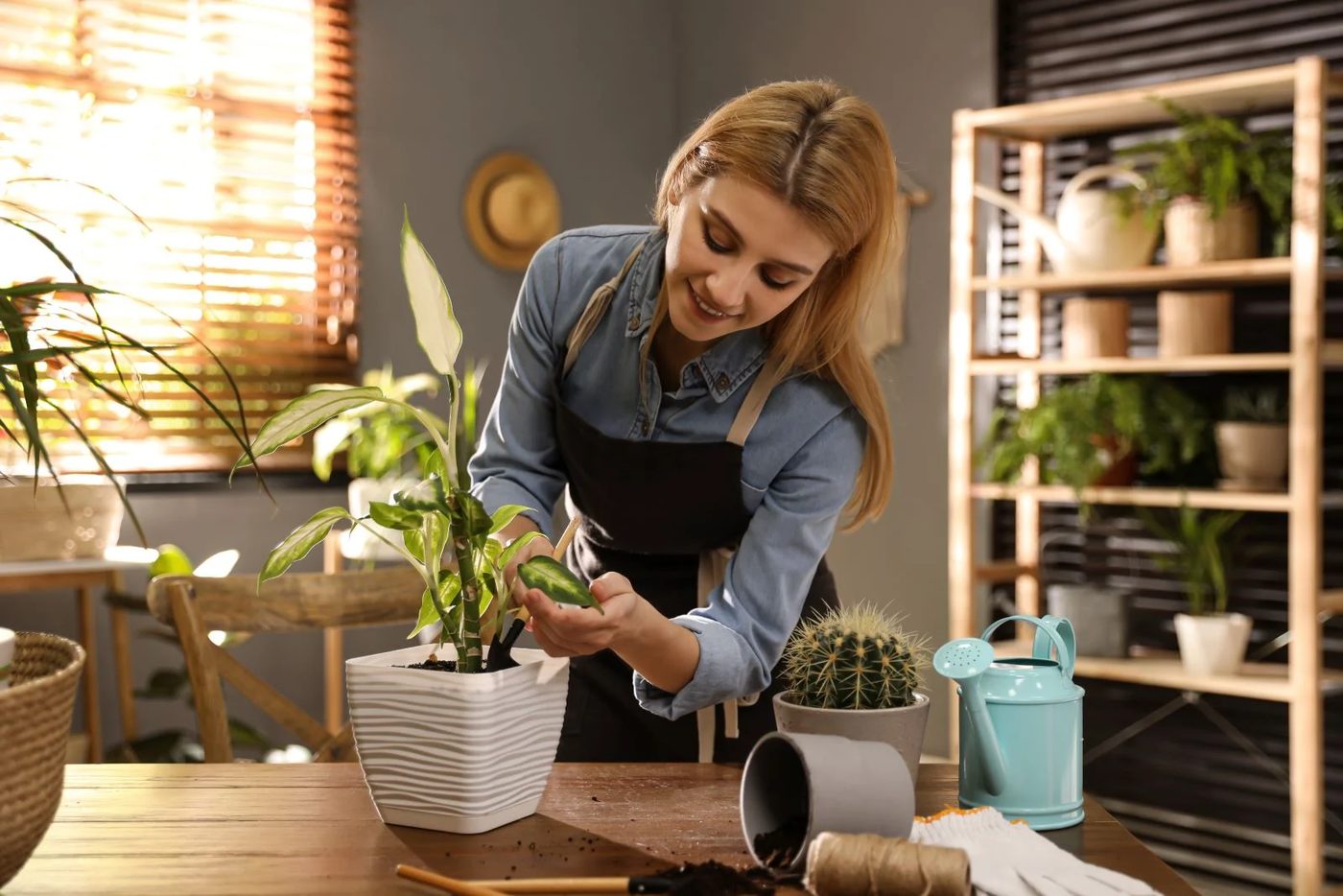 Woman Indoor Gardening