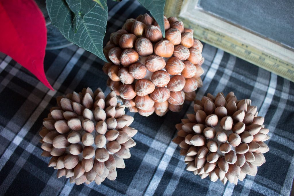 Decorative Hazelnut Balls 2636 1024x683