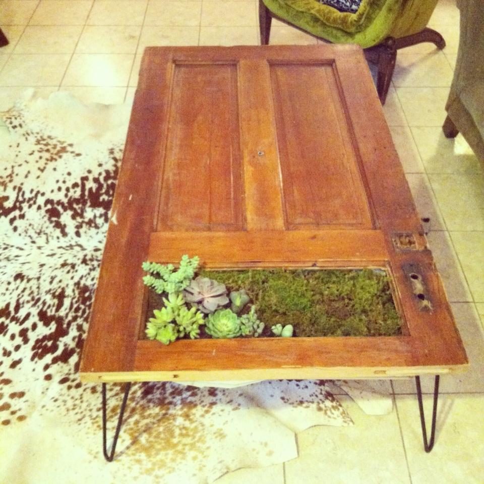 coffee-table-succulent-planter-rebuilding-exchange