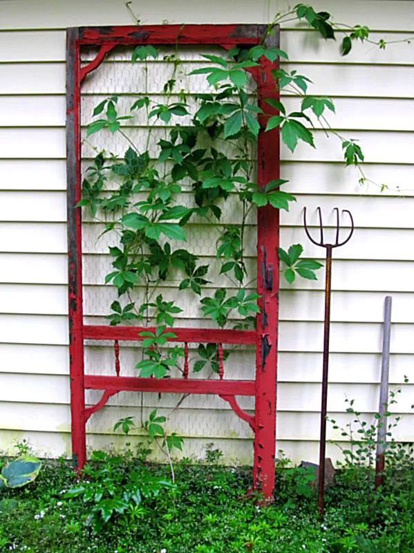 screen-door-garden-trellis-houzz