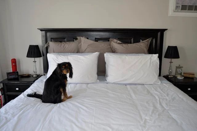 headboard from 5 panel door