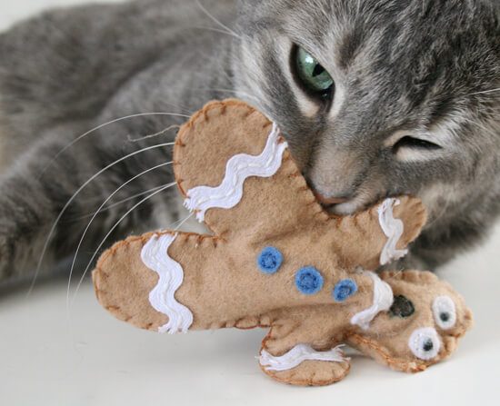 Christmas time is a great time to let your pets know you care. Create on of these 12 Handmade Christmas Gifts for Pets to let them know you love them featured on Bekob.com