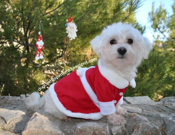 Christmas time is a great time to let your pets know you care. Create on of these 12 Handmade Christmas Gifts for Pets to let them know you love them featured on Bekob.com