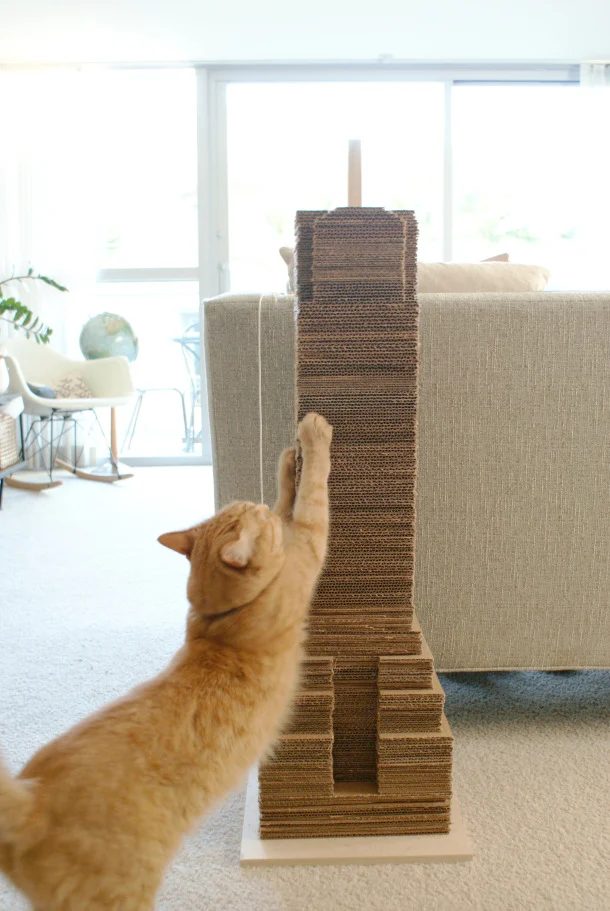 Christmas time is a great time to let your pets know you care. Create on of these 12 Handmade Christmas Gifts for Pets to let them know you love them featured on Bekob.com