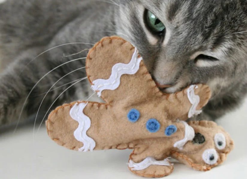 12 Handmade Christmas Gifts for Pets