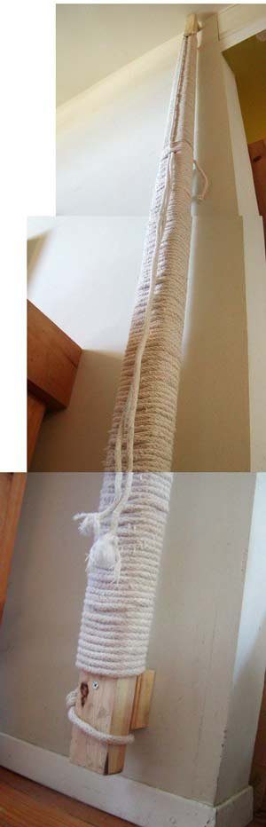 cat climbing pole