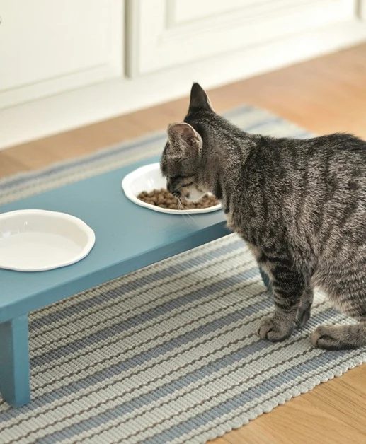pet bowl stand