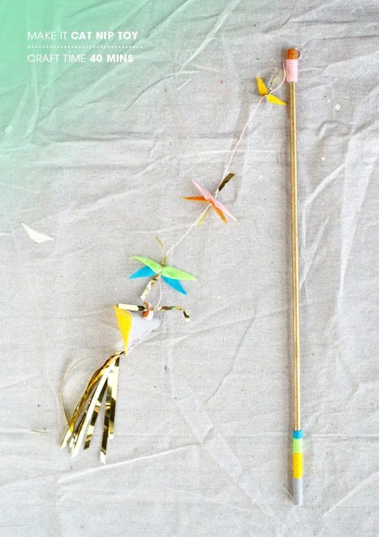 cat wand toy