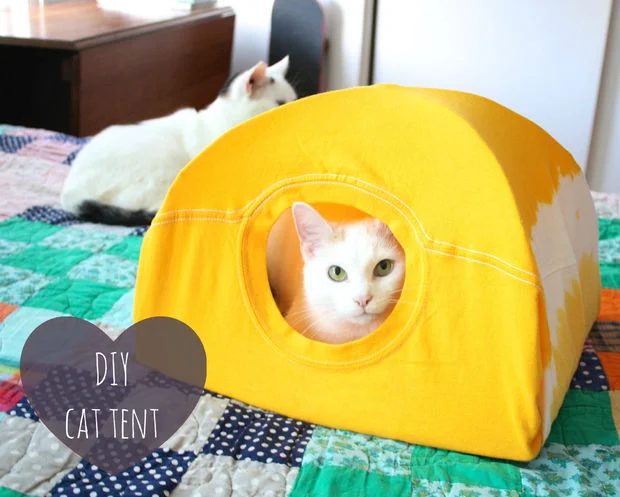 cat tent