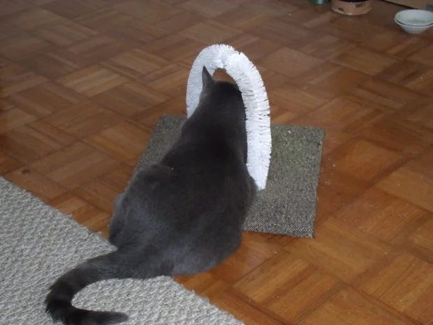 self pet station