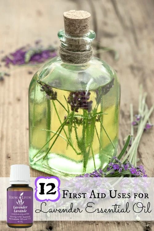 Lavender essential oil is a great addition to your first aid kit! Here are 12 uses for lavender essential oil to treat scrapes, cuts, burns, and more. 12 First Aid Uses for Lavende