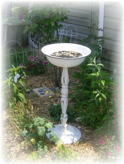 Table Leg Bird Bath