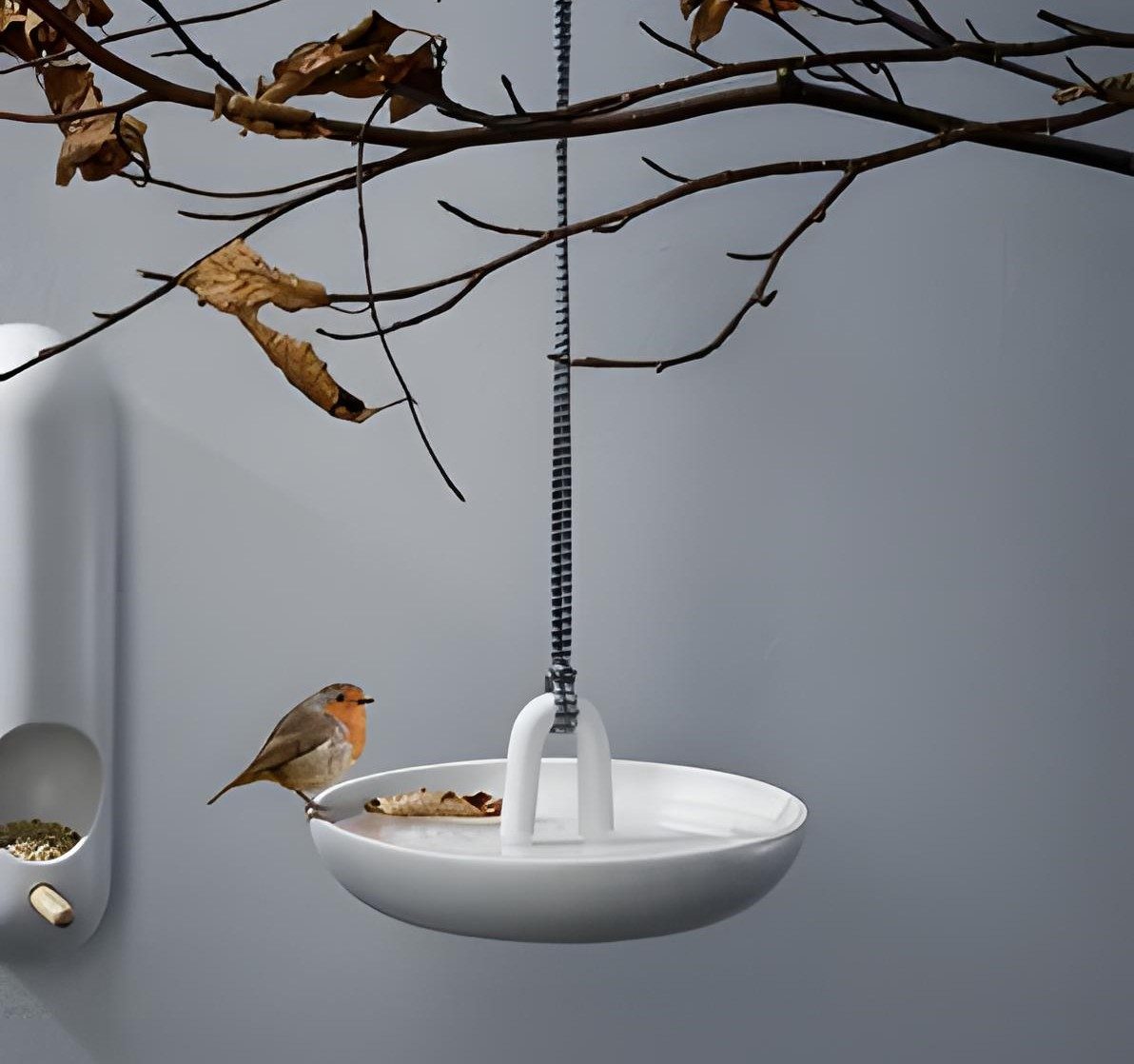 Auley+Hanging+Bird+Bath 114253