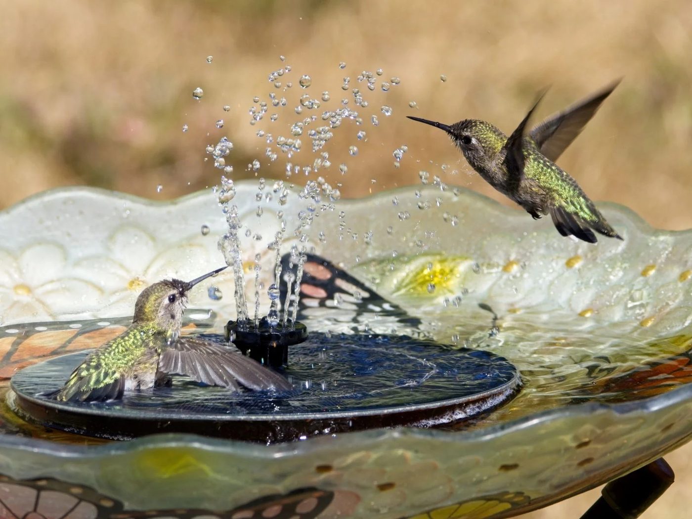 Solar Fountain In A Bird Bath Diy