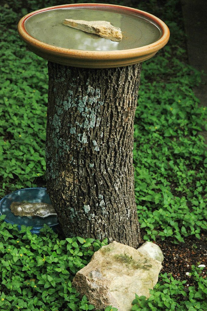 Tree Stump Bird Bath option