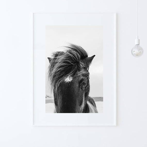Farmhouse Bedroom 04 Horse Photo