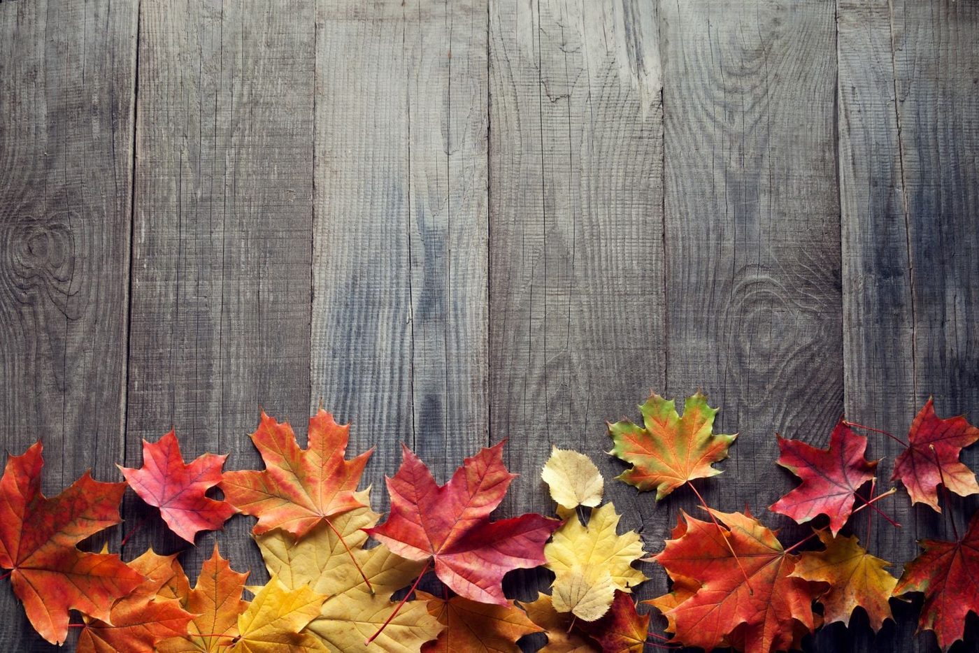Autumn Leaves