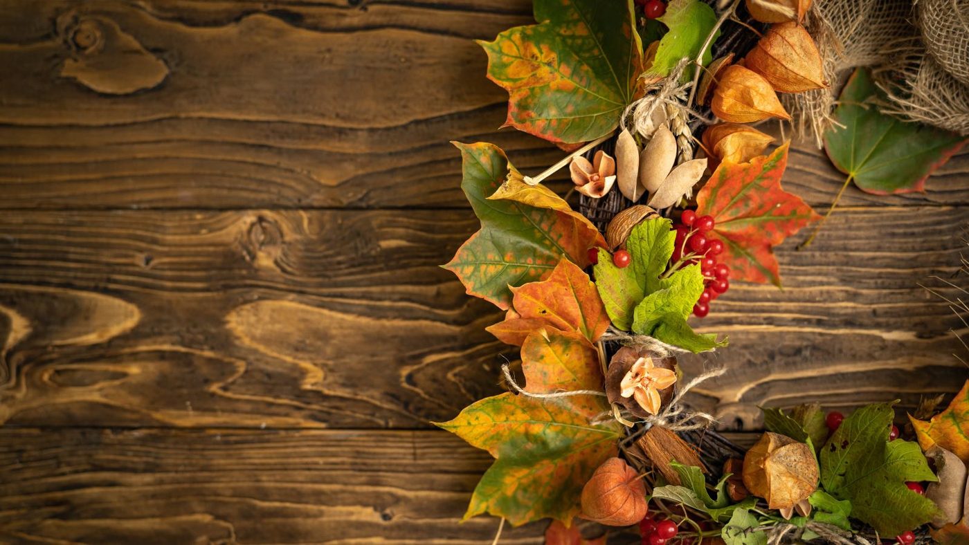 Fall Foliage