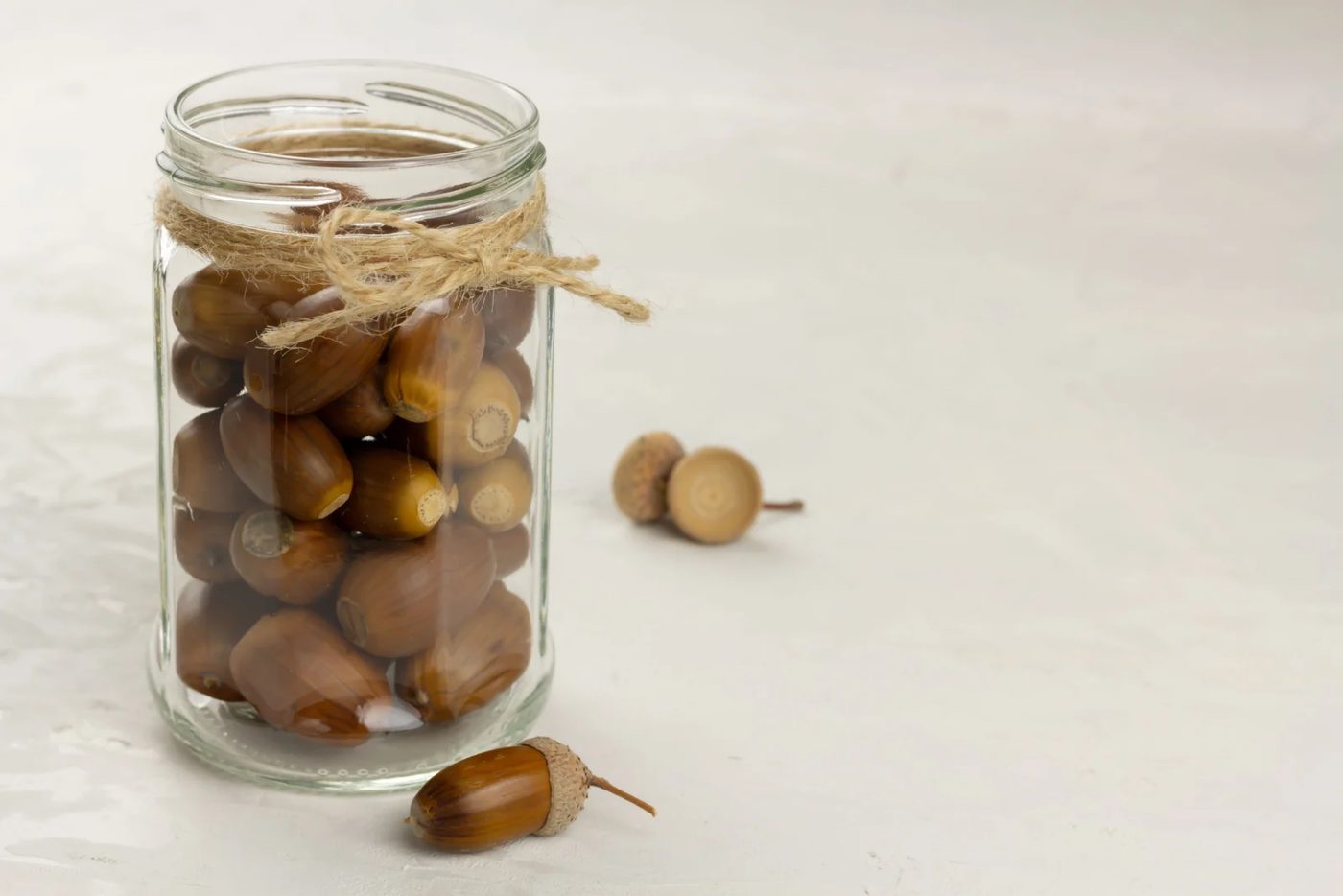 Jar Of Acorns