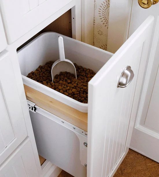 Pet-Friendly Home Decor Tips