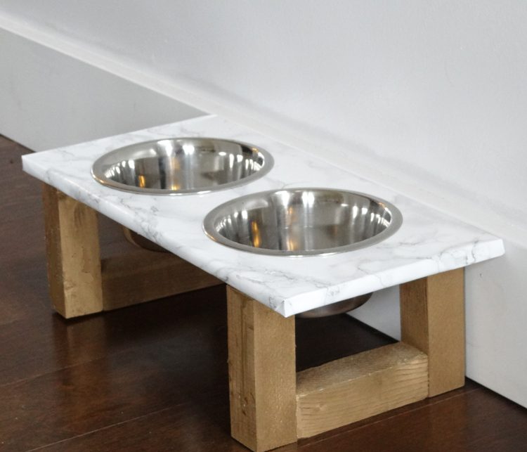 Pet-Friendly Home Decor Tips