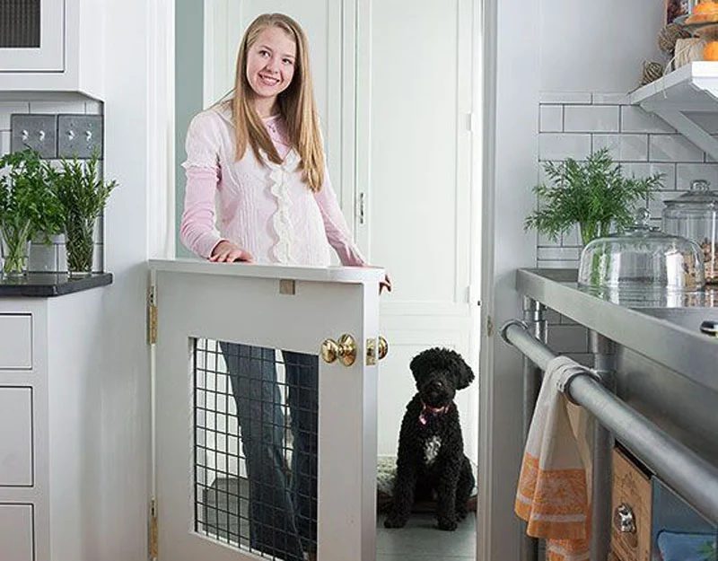 12 Pet-Friendly Home Decor Tips