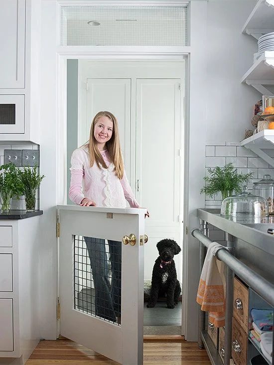 Pet-Friendly Home Decor Tips