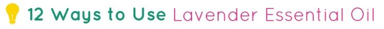 lavender header