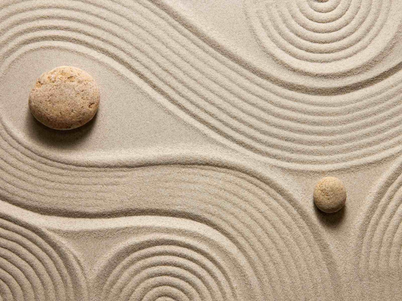 Zen Garden