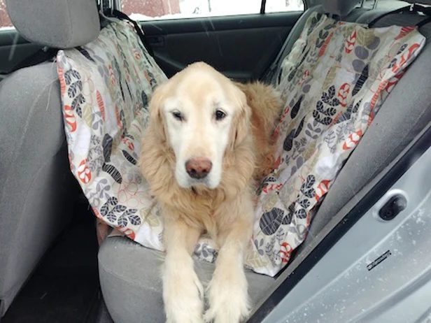 Love your dog? Create one or more of these straightforward Handmade dog projects from tipsaholic.com #dog #dogs #handmade #pets