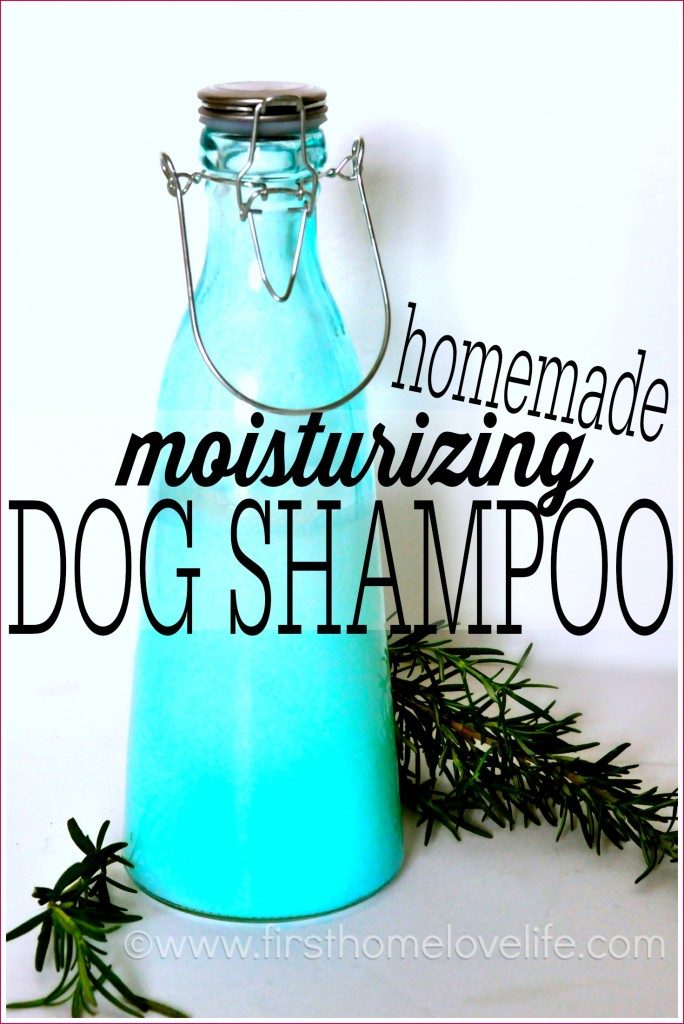 Love your dog? Create one or more of these straightforward Handmade dog projects from tipsaholic.com #dog #dogs #handmade #pets
