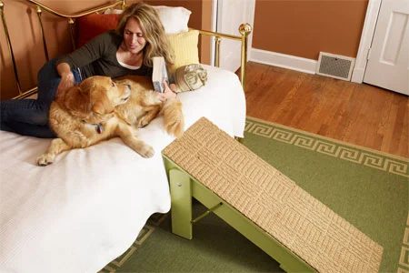 Love your dog? Create one or more of these straightforward Handmade dog projects from tipsaholic.com #dog #dogs #handmade #pets