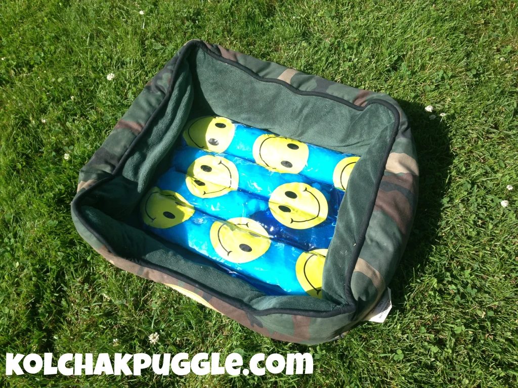 Love your dog? Create one or more of these straightforward Handmade dog projects from tipsaholic.com #dog #dogs #handmade #pets