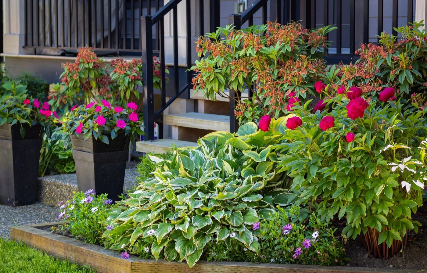Front Porch Garden