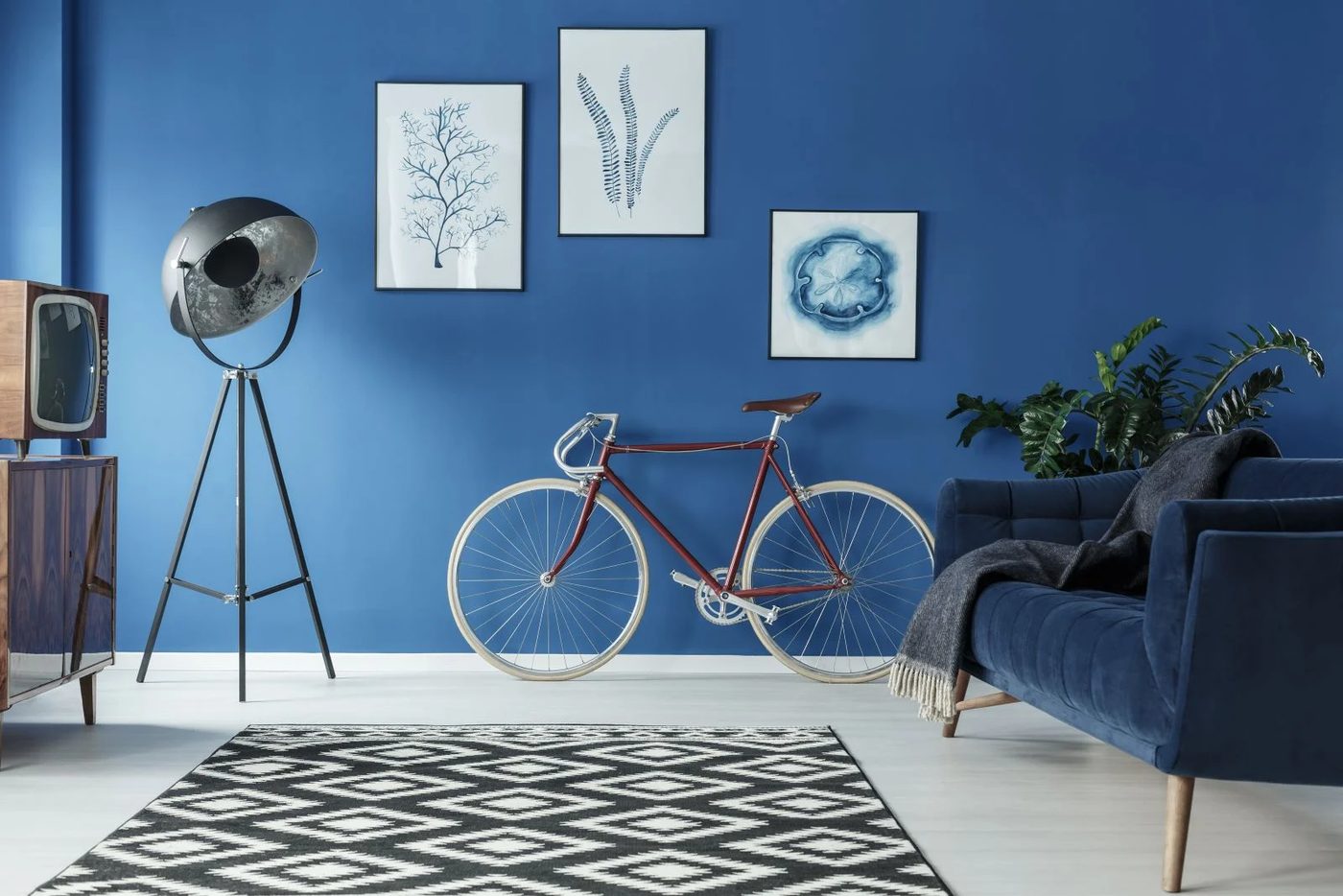 Blue And Gray