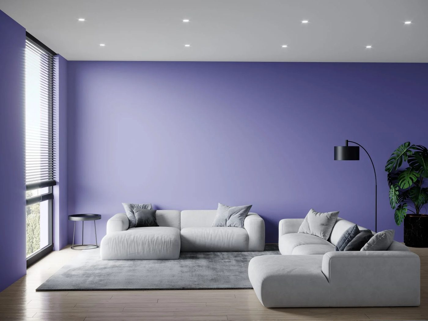 Violet And Gray'