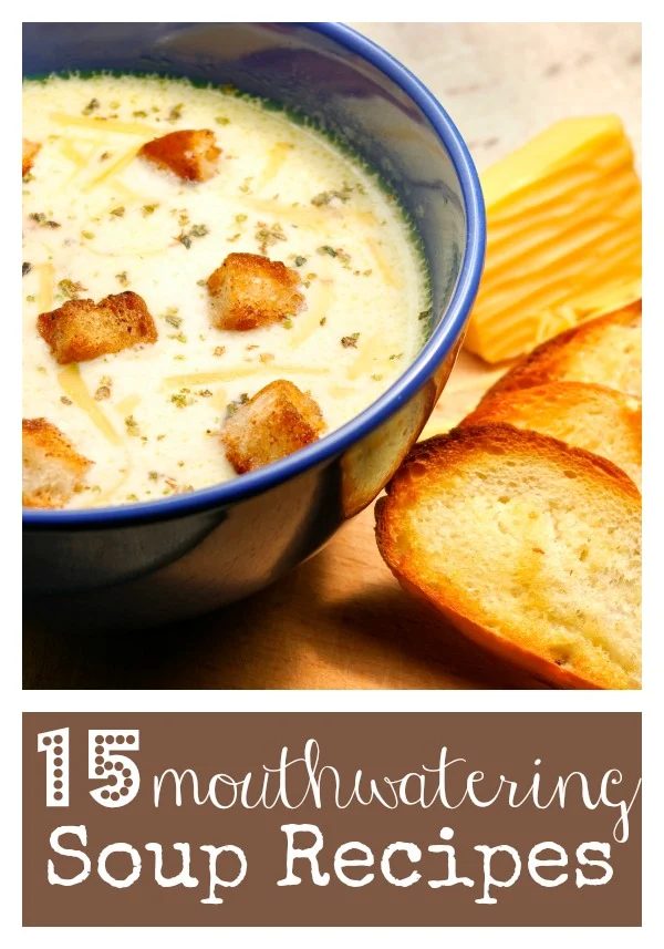 Feeling cold during the fall and winter seasons? Warm up your tummy with a delicious soup! Try all of these 15 great soup recipes during this cold season via @tipsaholic #soups #re