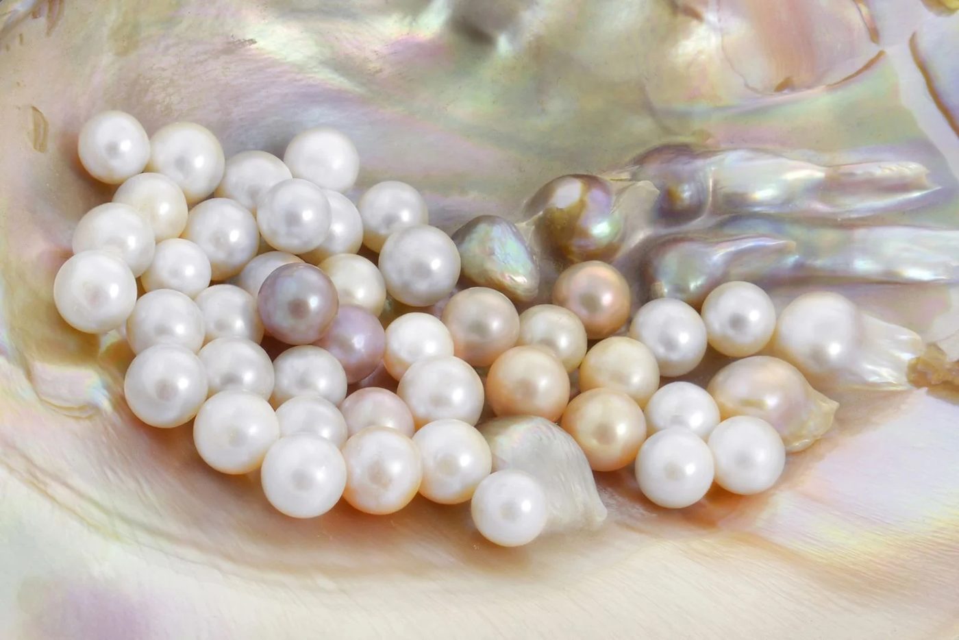 Mother Of Pearls