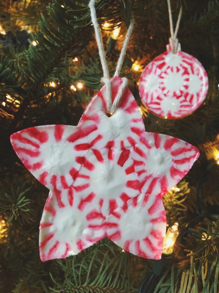 19 Diy Edible Christmas Ornaments Hello Homebody Bekob
